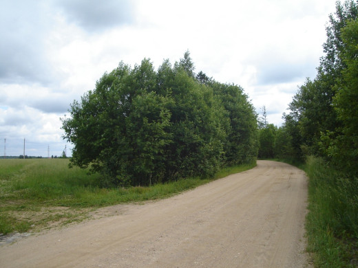 27813 (a): :1024x768